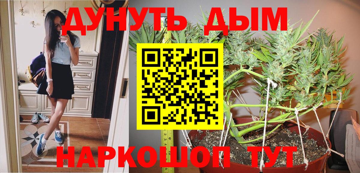 Бошки Шишки марихуана Электрогорск